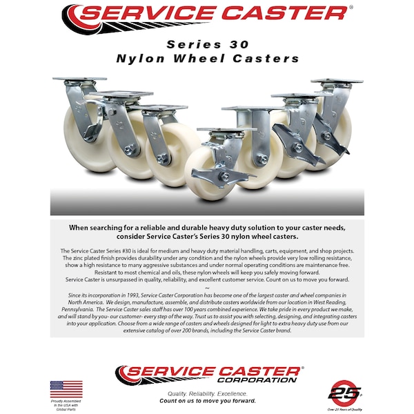 8 Inch Stainless Steel Nylon Swivel Caster Set with Ball Bearings 2 Brakes SCC